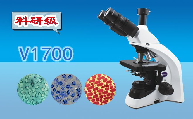 生物亚欧视频无码蜜桃.png
