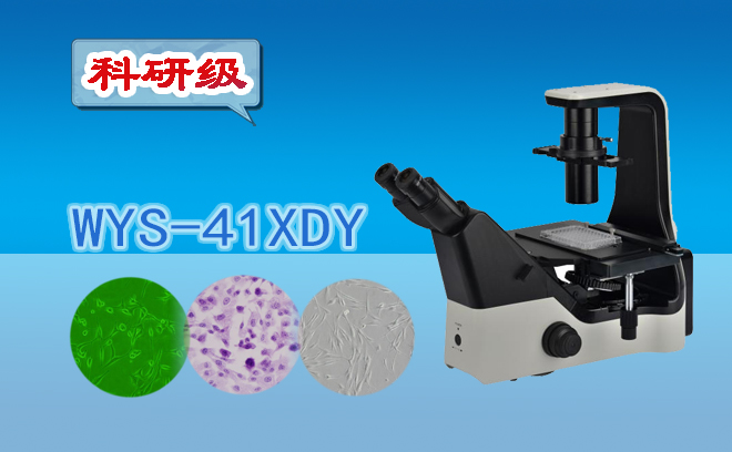 熒光亚欧视频无码蜜桃.jpg