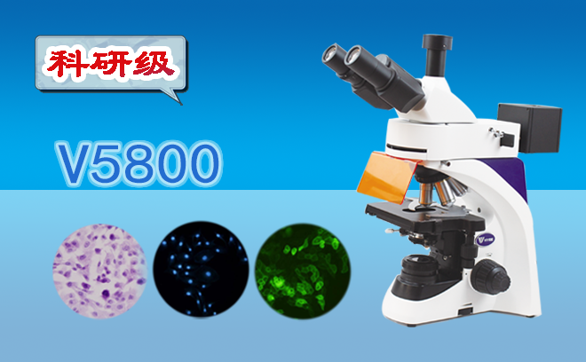 熒光生物亚欧视频无码蜜桃.png