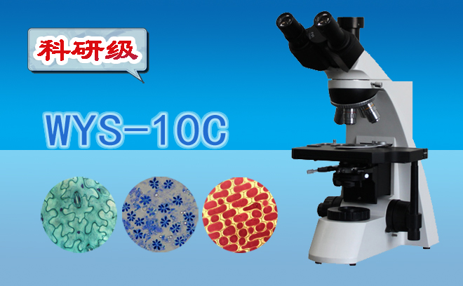 生物亚欧视频无码蜜桃.jpg