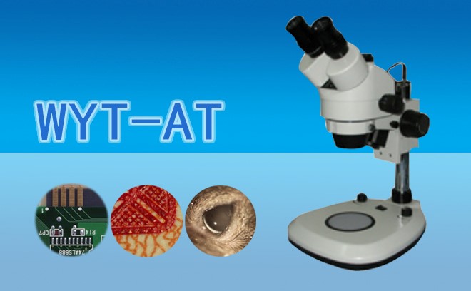 體視亚欧视频无码蜜桃的維護頻率是多少